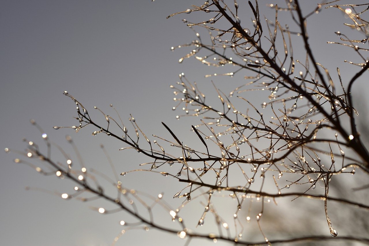 UV Marius Terol - Drop of water